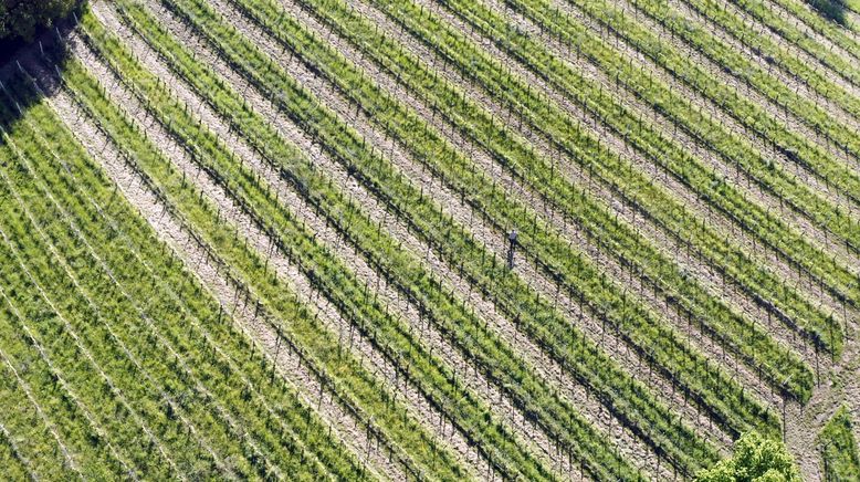 Ein Stück Österreich: Die Südsteiermark im Jahresverlauf