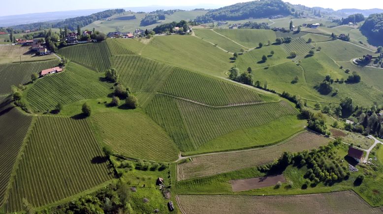 Ein Stück Österreich: Die Südsteiermark im Jahresverlauf