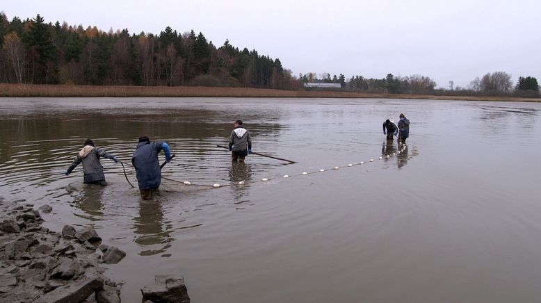 Land der Teiche - Die Kultivierung des Waldviertels