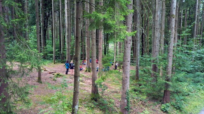 Wunderbare Waldwelt - Wie diese grünen Oasen zum Klimaschutz und zu unserer Gesundheit beitragen