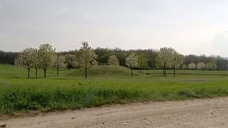 Von Hexenhügeln und heiligen Quellen - Kraftplätze im Burgenland