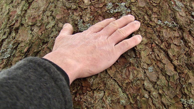 Menschen mit Gespür für Holz