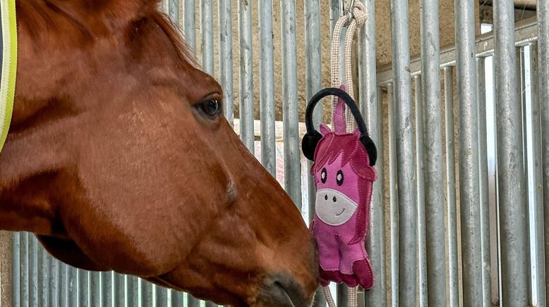 Tierische Augenblicke