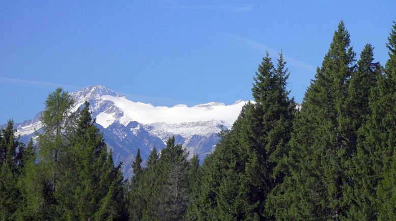 Trentino und seine zauberhafte Bergwelt