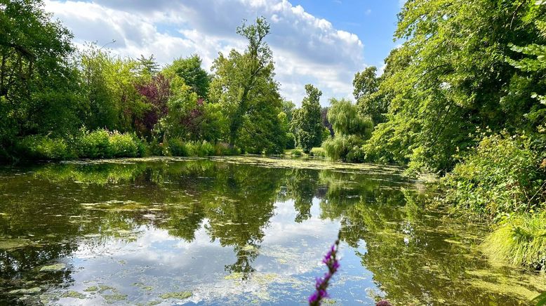 Traumgärten der Welt - 30 Jahre Gartenreisen mit Karl Ploberger