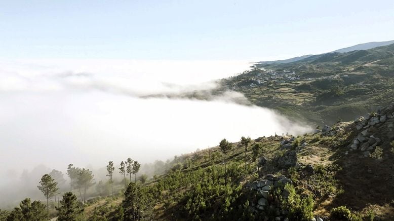 Das Gold der Serra da Estrela