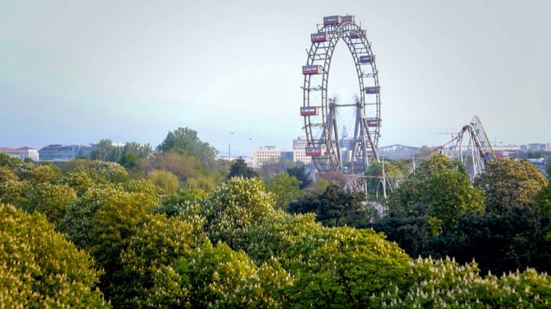 Die Wurzeln der Wiener Gärten