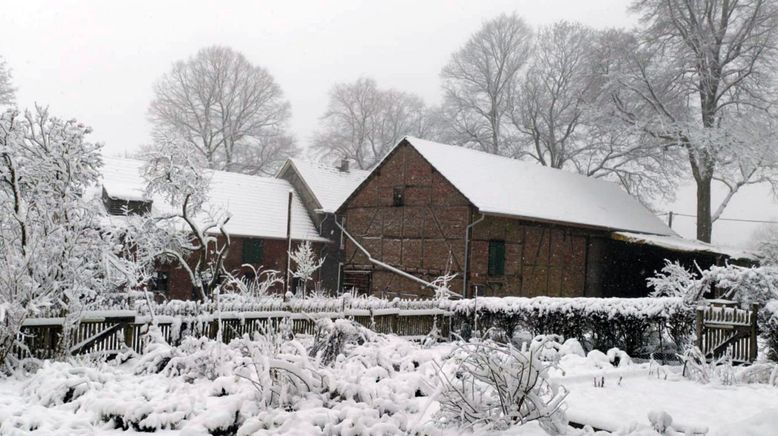 Ein Tag im Wintergarten