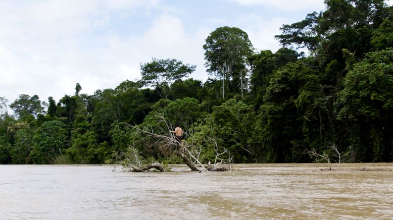 Amazonien - Im Bann der unberührten Natur