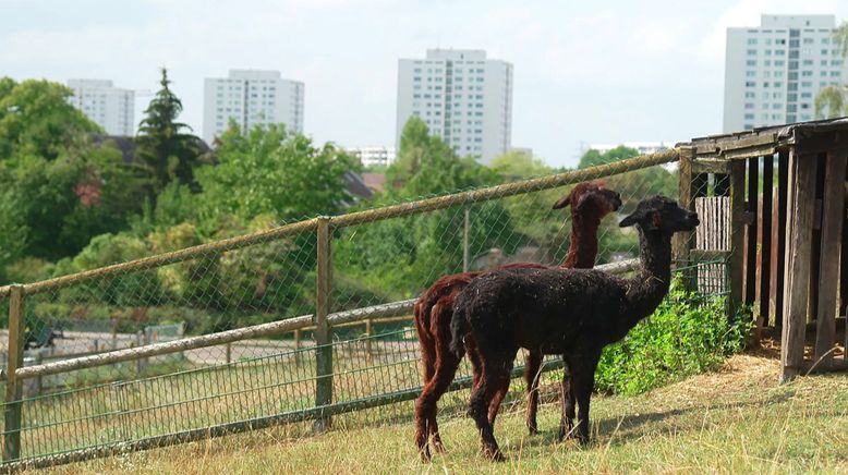 Die 30 schönsten Berliner Hinterhöfe