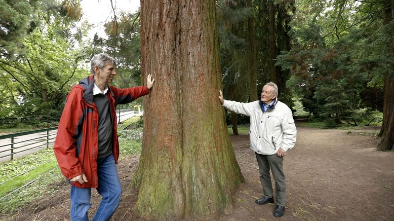 Der Grugapark - Das grüne Herz von Essen