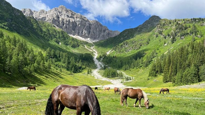 Berge der Zukunft: Von Obertilliach in die Lienzer Dolomiten