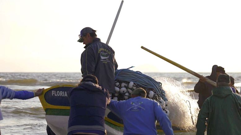 Brasilien: Ein Fisch namens Tainha