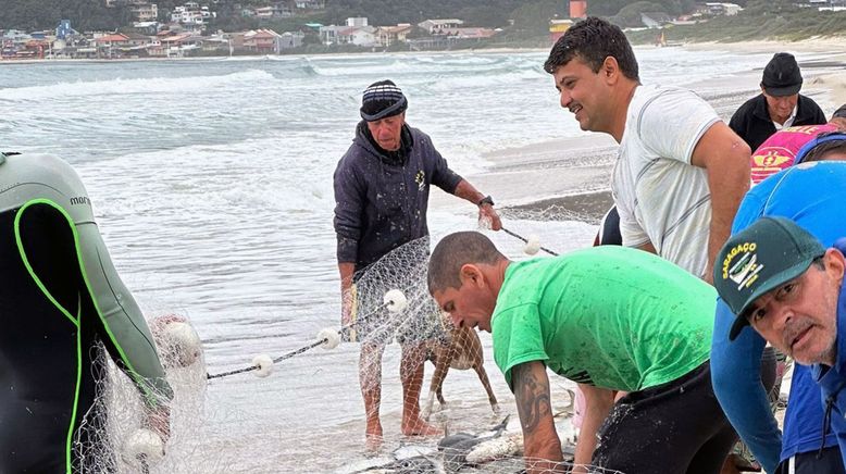 Brasilien: Ein Fisch namens Tainha