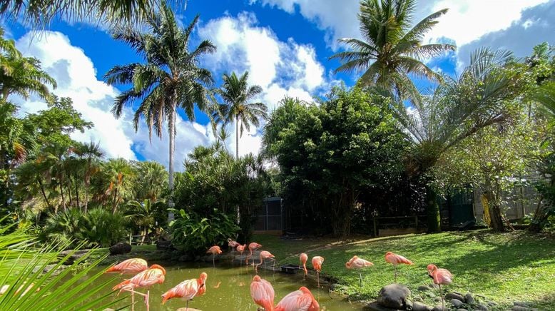 Karibische Gartenträume auf Guadeloupe