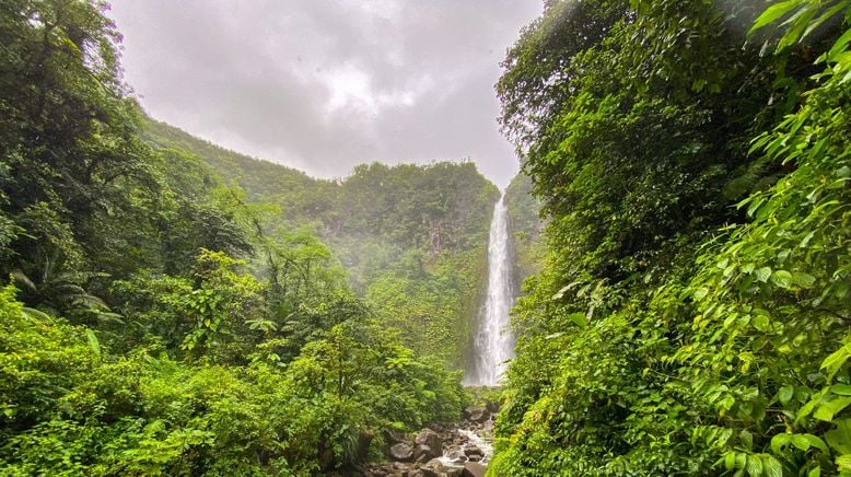 Karibische Gartenträume auf Guadeloupe