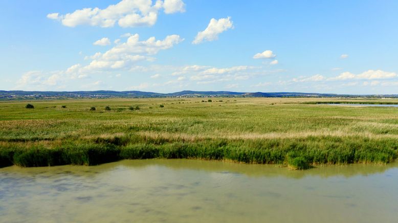 Seenland Österreich - Neusiedler See und Seewinkel