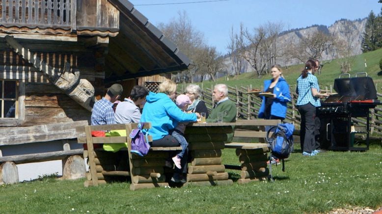 Frühling auf der Alm