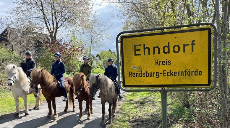 Ein Dorf im Tölt der Islandpferde