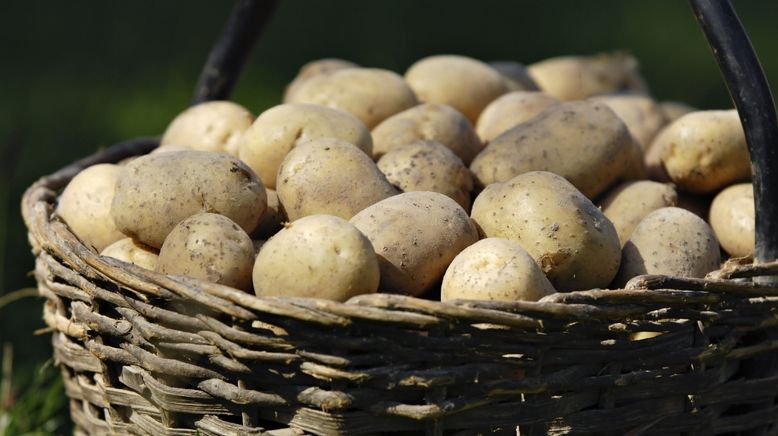 So schmeckt Oberösterreich