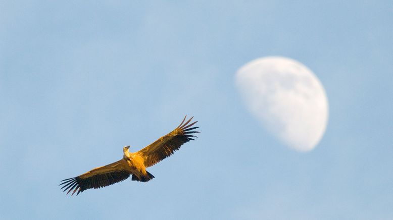 Extremadura, ein Naturparadies in Europa