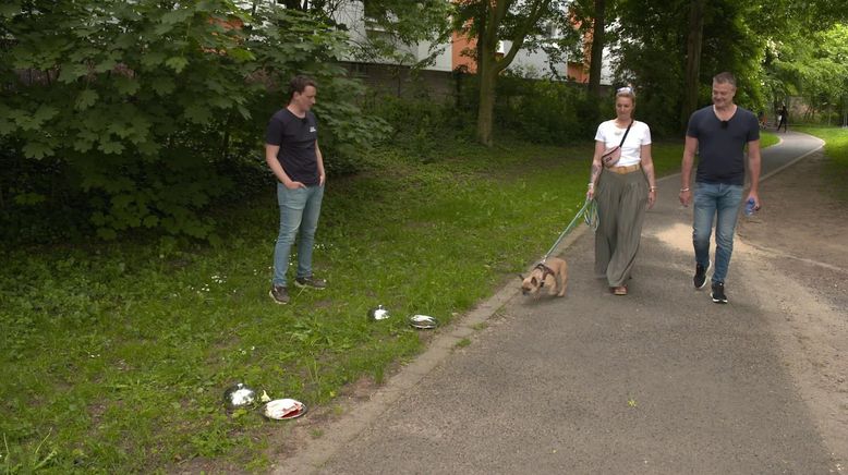 Der Hundeprofi - Rütters Team