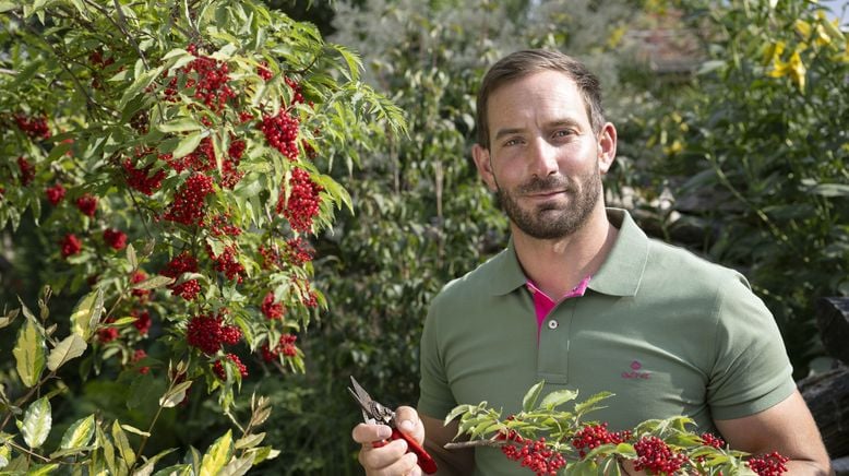 Garten & lecker