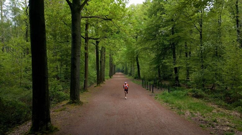 Wenn die ganze Welt läuft - Der Wings for Life World Run