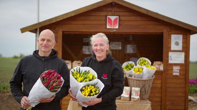 Pfingstrosen und Tulpen - Mitteldeutschlands Blumenmeer