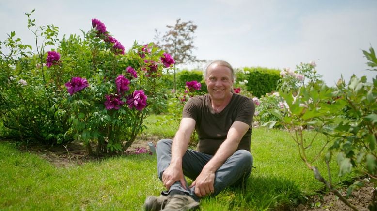 Pfingstrosen und Tulpen - Mitteldeutschlands Blumenmeer