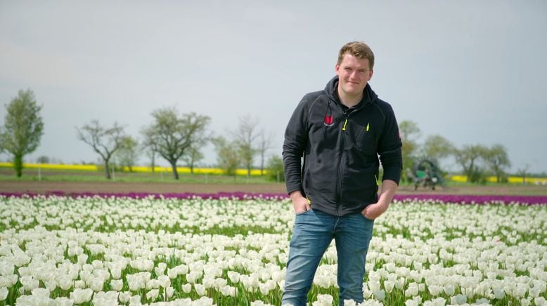 Pfingstrosen und Tulpen - Mitteldeutschlands Blumenmeer