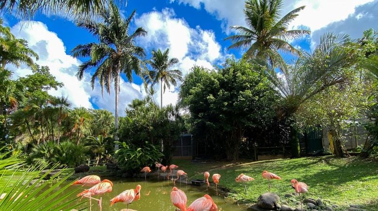 Karibische Gartenträume auf Guadeloupe