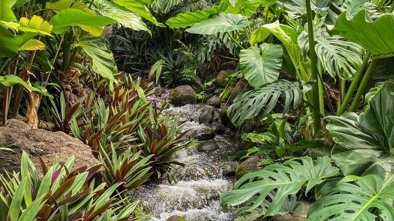 Karibische Gartenträume auf Guadeloupe