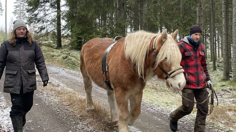 Selbstversorger in Schweden im Winter