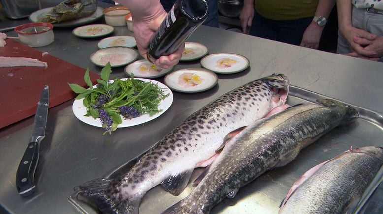 Einfach gut leben - Harald Krassnitzer auf den Spuren der Slow food Pioniere