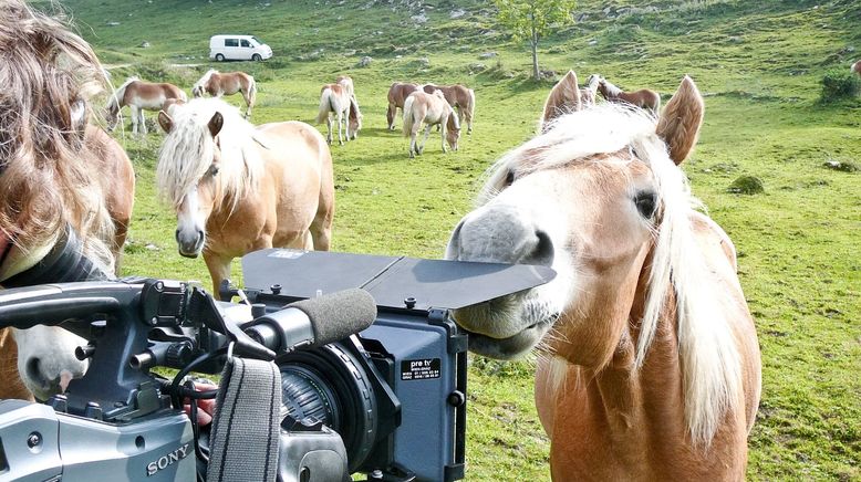 Der Wilde Kaiser und wilde Kaiserinnen