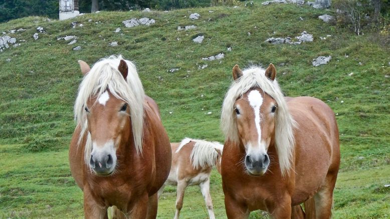 Der Wilde Kaiser und wilde Kaiserinnen