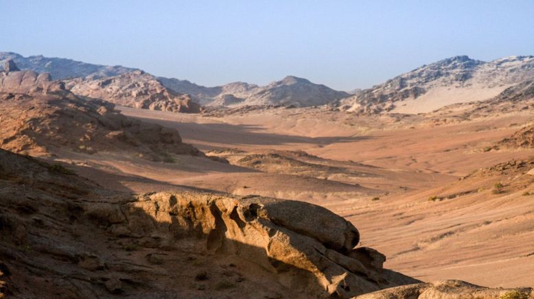 Die Wüstenlöwen der Namib - Auf den Spuren der Könige