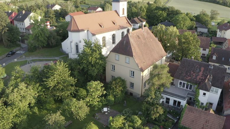 Das Graue Langohr - Winzling im Kitzinger Land