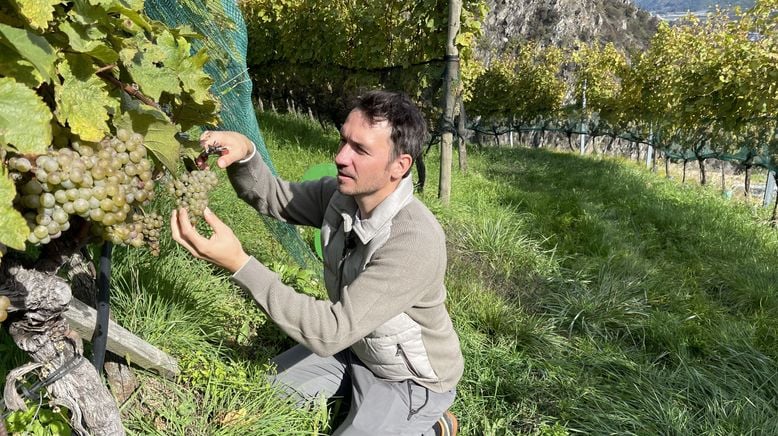 Felix Neureuther - Alpentourismus in Gefahr?