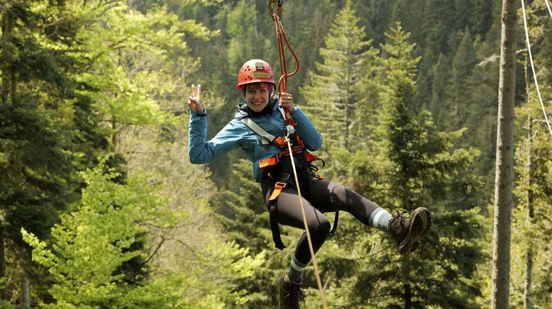 Den Schwarzwald erleben