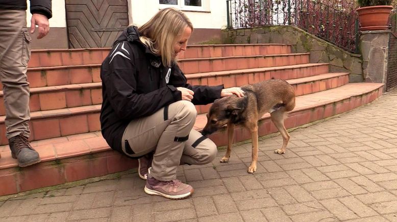 Alltagskämpfer - So tickt Deutschland!