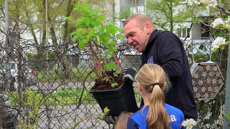 Von Hecke zu Hecke - Bunte Beetgeschichten