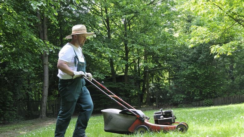 Rasch durch den Garten