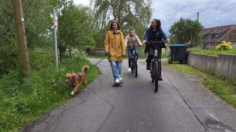 Der Hundeprofi - Rütters Team