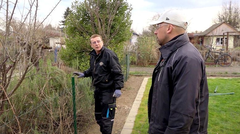 Von Hecke zu Hecke - Bunte Beetgeschichten