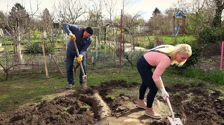 Von Hecke zu Hecke - Bunte Beetgeschichten