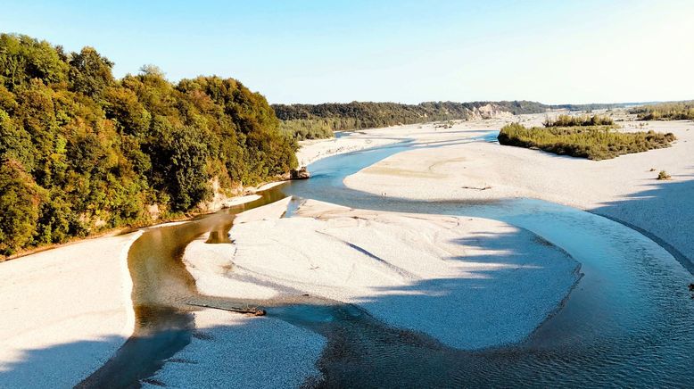 Der Tagliamento - König der Alpenflüsse