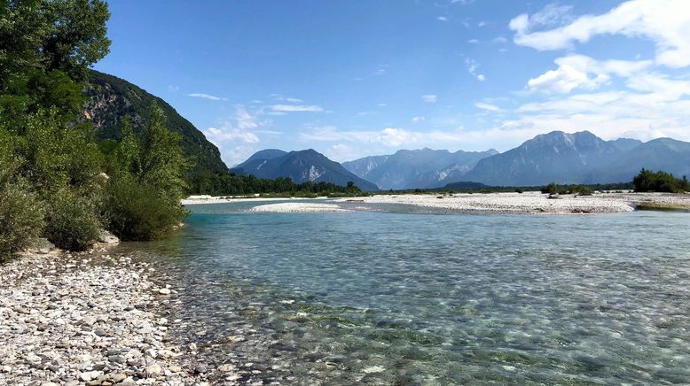 Der Tagliamento - König der Alpenflüsse