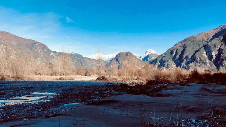 Der Tagliamento - König der Alpenflüsse